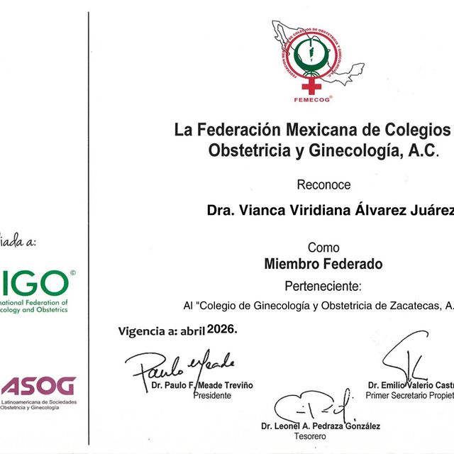 Ampliar imagen: certificate 1