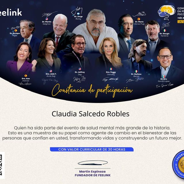 Ampliar imagen: certificate 7