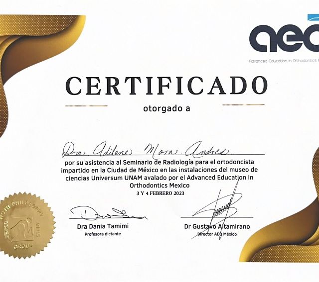 Ampliar imagen: certificate 4