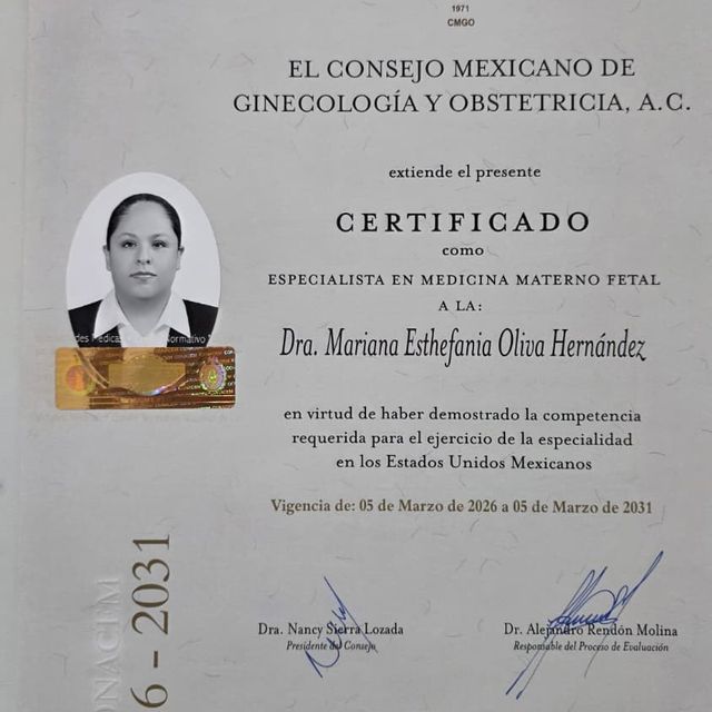 Ampliar imagen: certificate 1