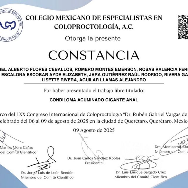 Ampliar imagen: certificate 2