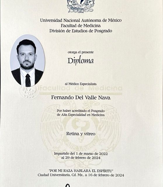 Ampliar imagen: certificate 3