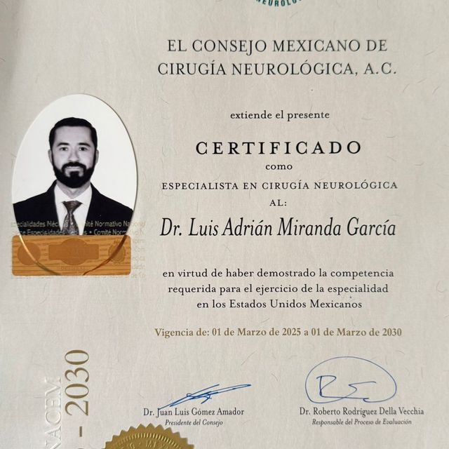 Ampliar imagen: certificate 1