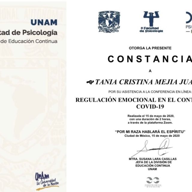 Ampliar imagen: certificate 8