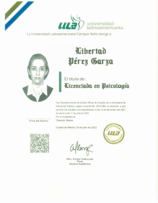 Ampliar imagen: certificate 3