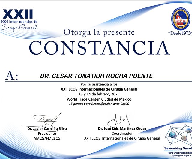 Ampliar imagen: certificate 51