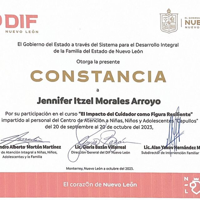 Ampliar imagen: certificate 6