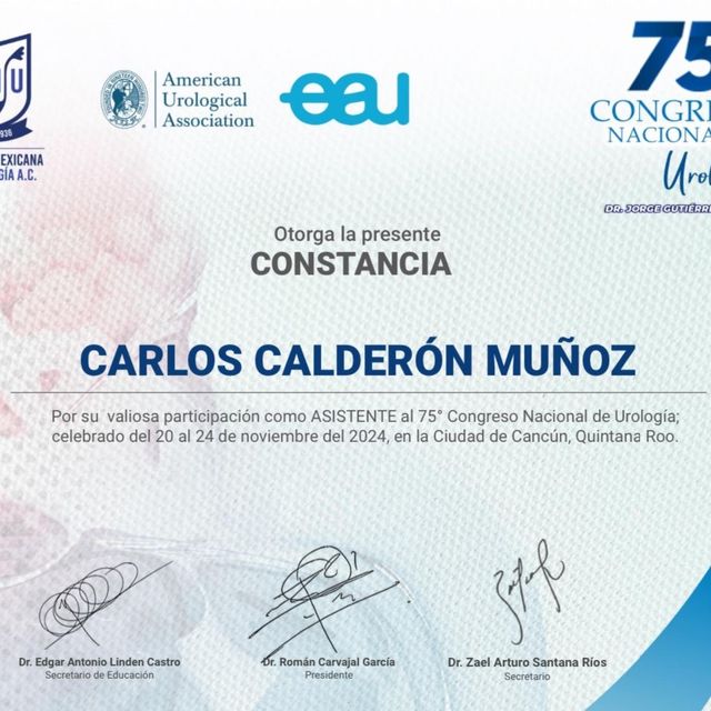 Ampliar imagen: certificate 1