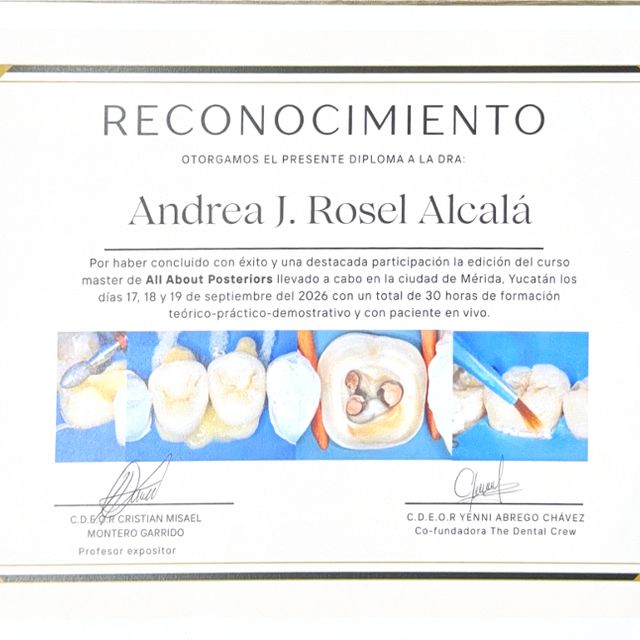 Ampliar imagen: certificate 14