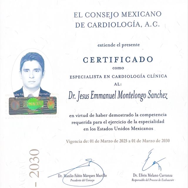 Ampliar imagen: certificate 1