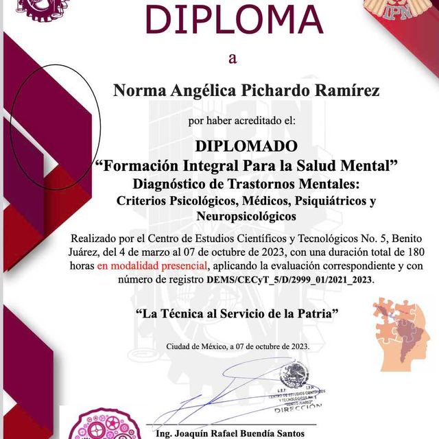 Ampliar imagen: certificate 3