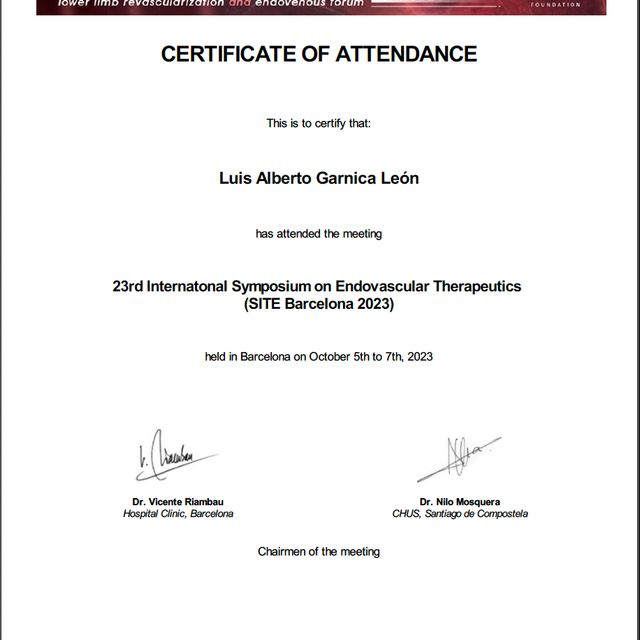 Ampliar imagen: certificate 7