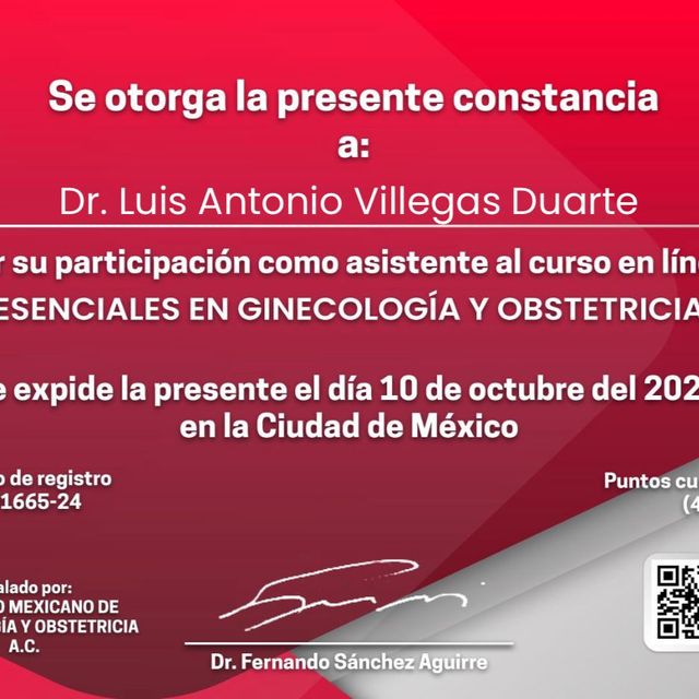 Ampliar imagen: certificate 4