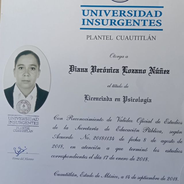 Ampliar imagen: certificate 2