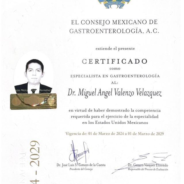 Ampliar imagen: certificate 1