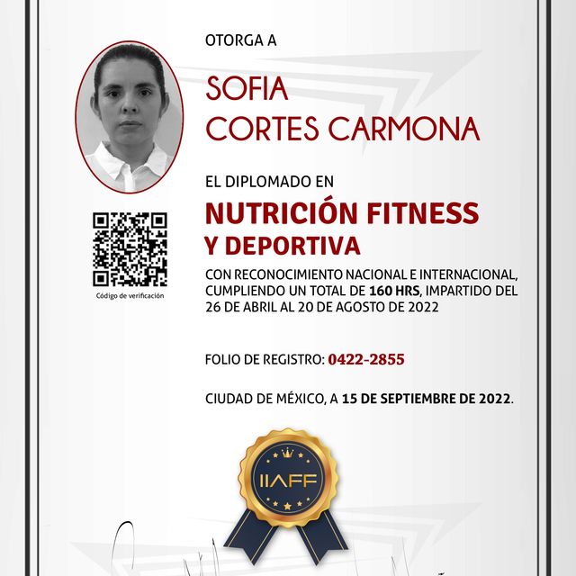 Ampliar imagen: certificate 3