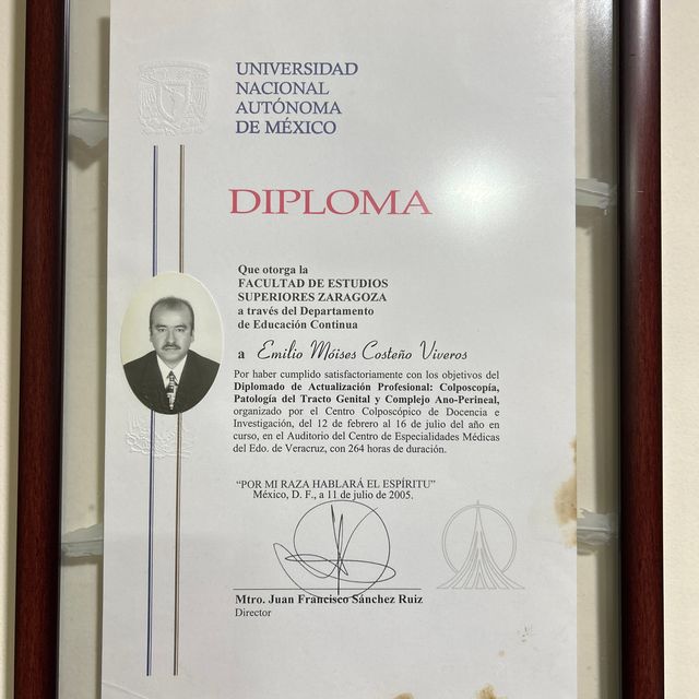 Ampliar imagen: certificate 3