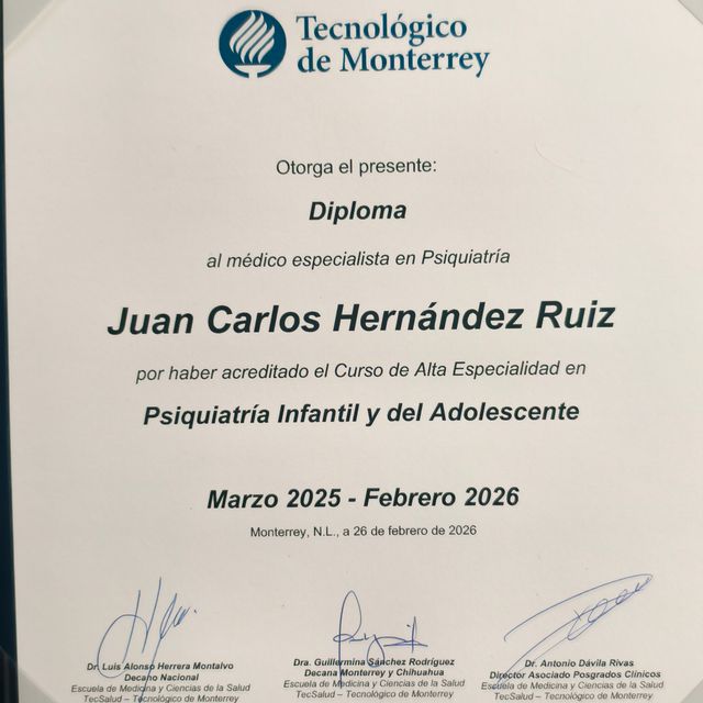 Ampliar imagen: certificate 2