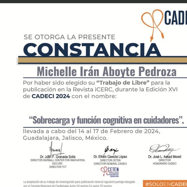 Ampliar imagen: certificate 5