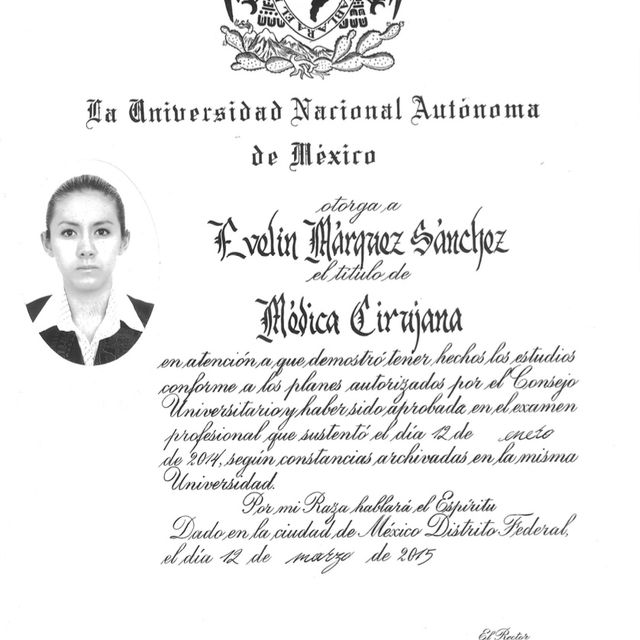 Ampliar imagen: certificate 3