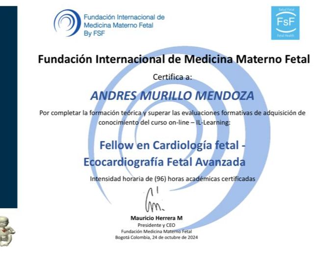 Ampliar imagen: certificate 2