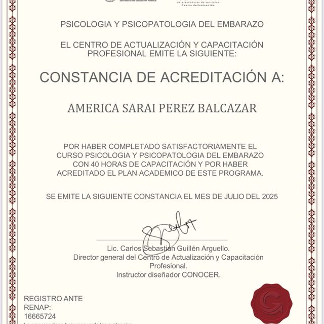 Ampliar imagen: certificate 27