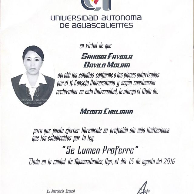 Ampliar imagen: certificate 1