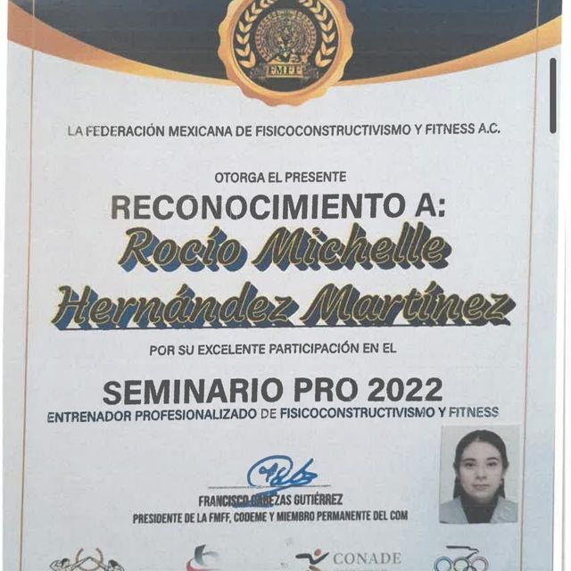 Ampliar imagen: certificate 3