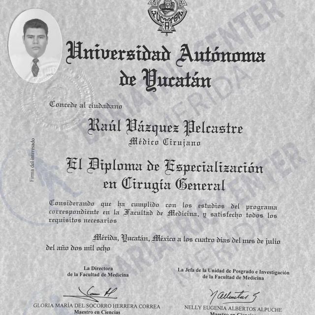 Ampliar imagen: certificate 5