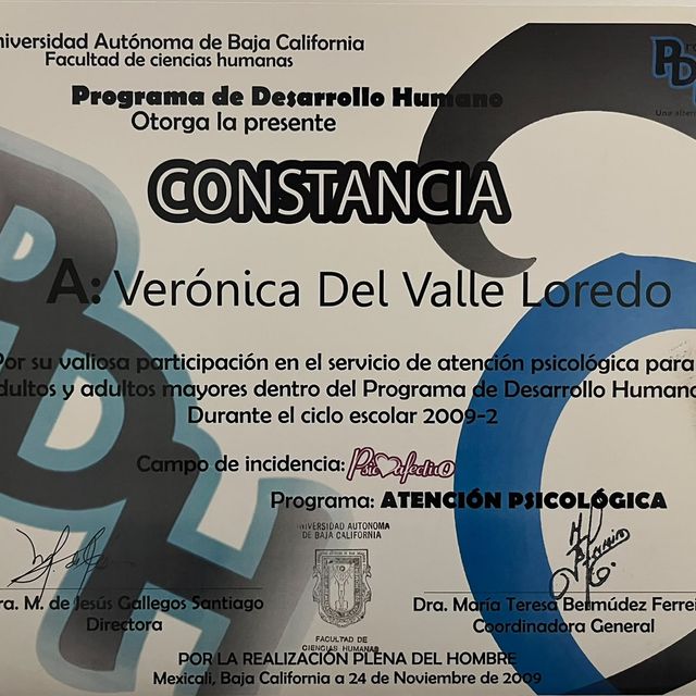 Ampliar imagen: certificate 5