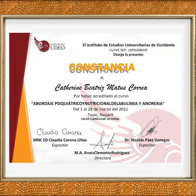 Ampliar imagen: certificate 4