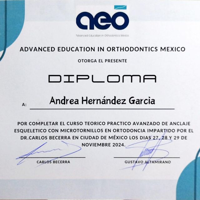 Ampliar imagen: certificate 3