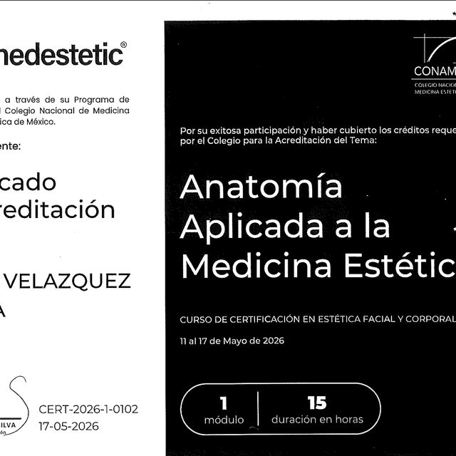 Ampliar imagen: certificate 8