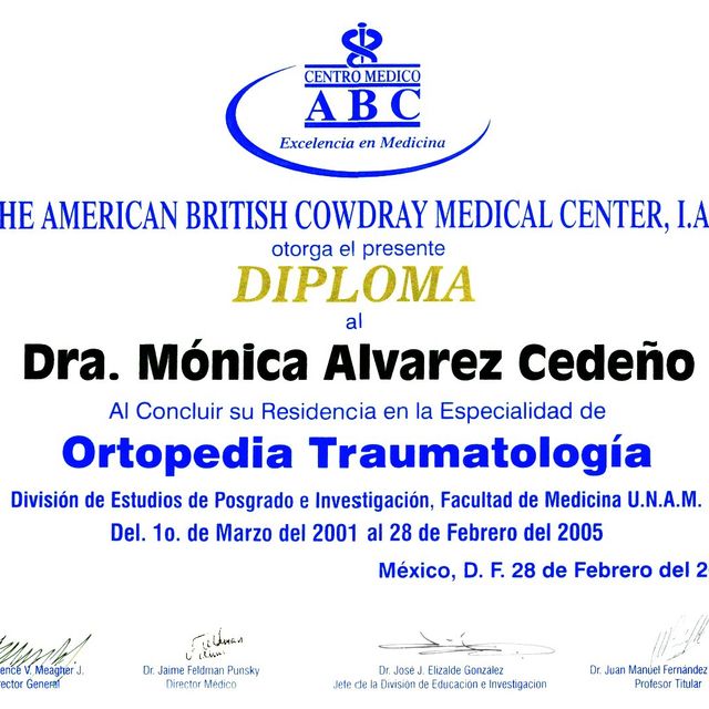Ampliar imagen: certificate 7