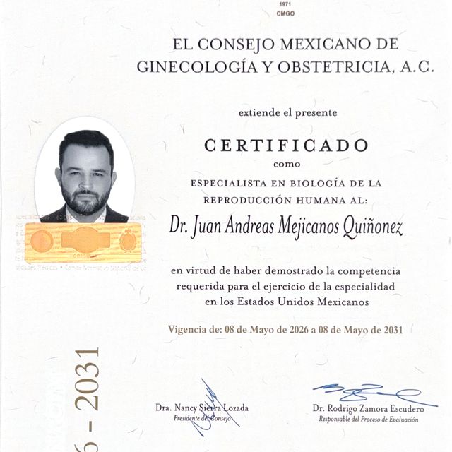 Ampliar imagen: certificate 1