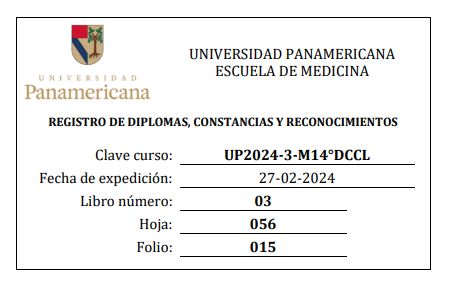 Ampliar imagen: certificate 4