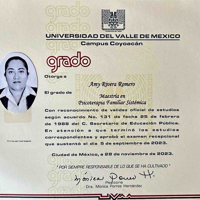 Ampliar imagen: certificate 4