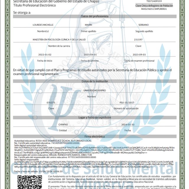 Ampliar imagen: certificate 3