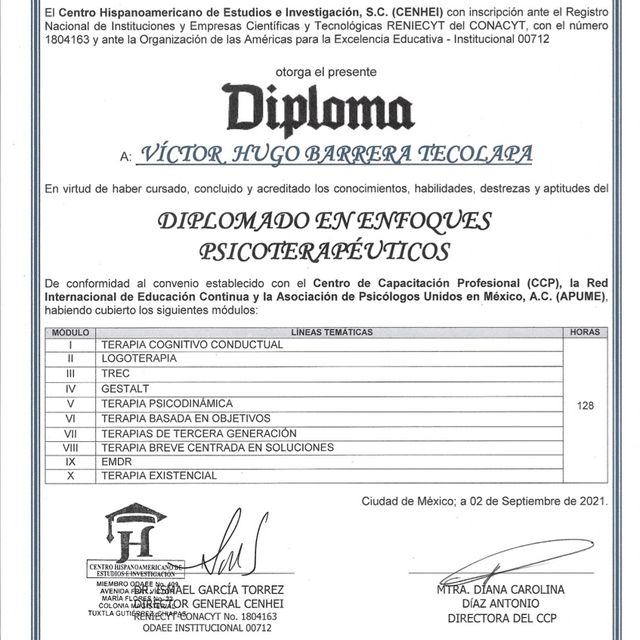 Ampliar imagen: certificate 10