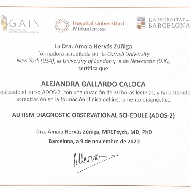 Ampliar imagen: certificate 2