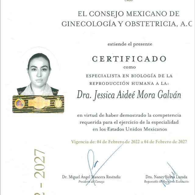 Ampliar imagen: certificate 1