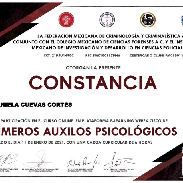 Ampliar imagen: certificate 2