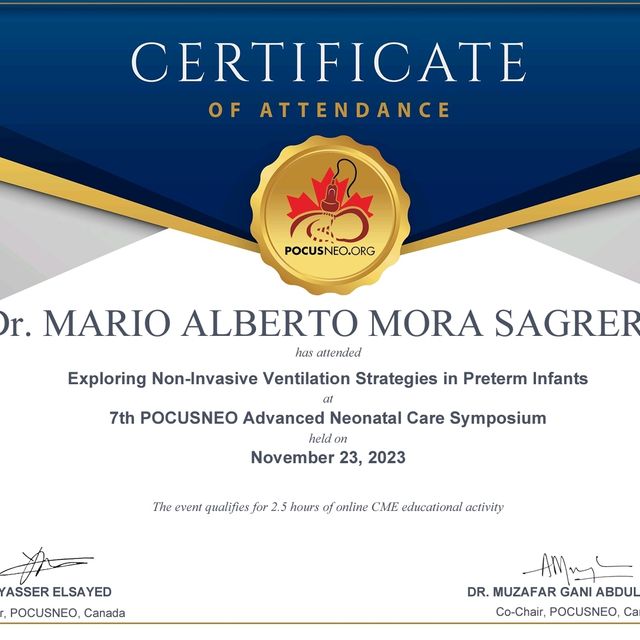 Ampliar imagen: certificate 11