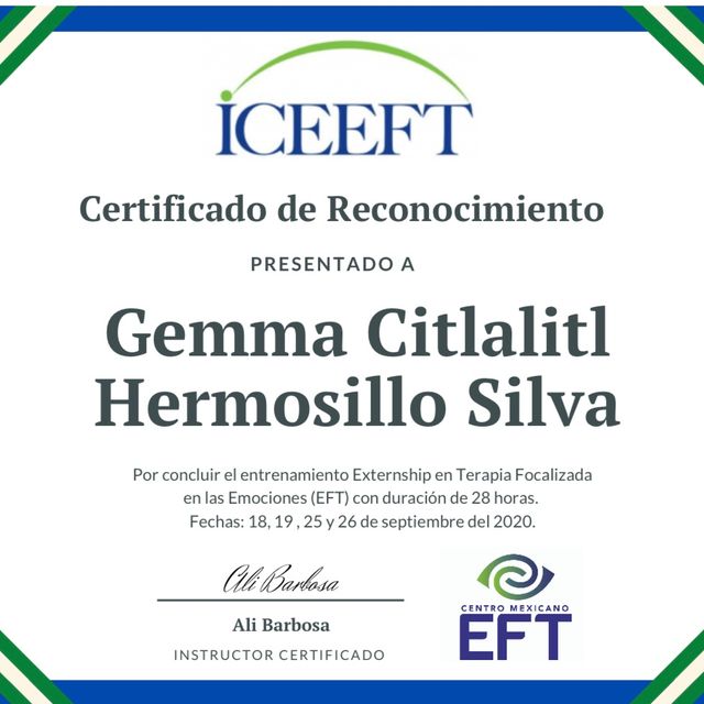 Ampliar imagen: certificate 7