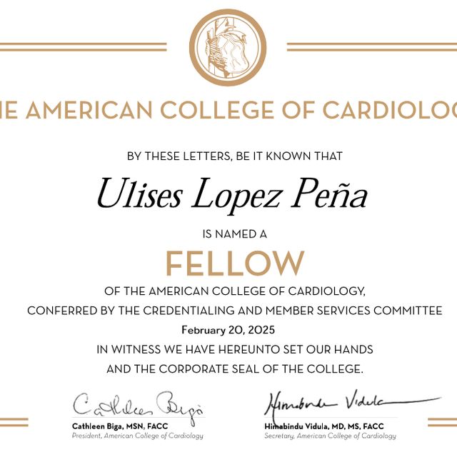 Ampliar imagen: certificate 7