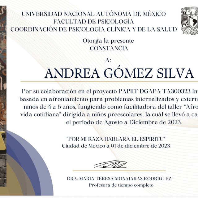 Ampliar imagen: certificate 13