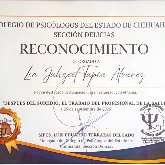 Ampliar imagen: certificate 5