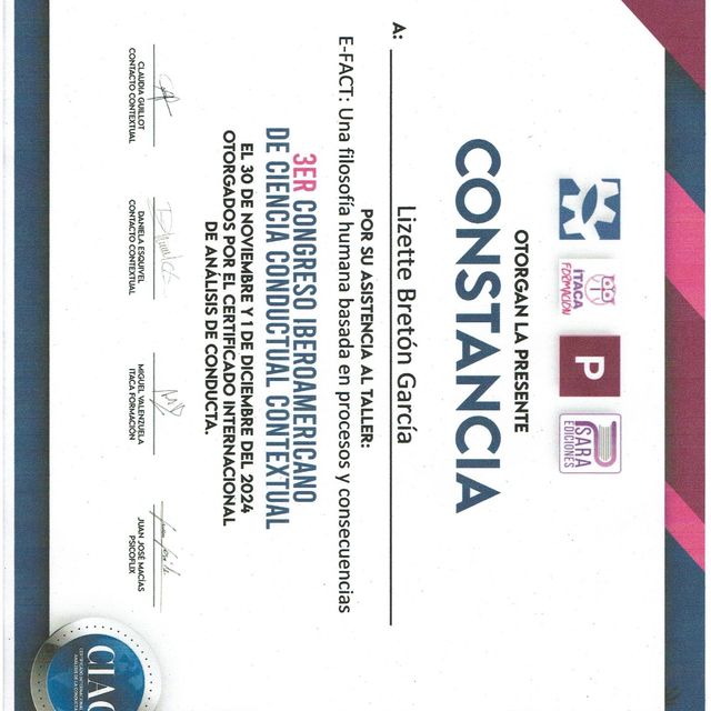 Ampliar imagen: certificate 28