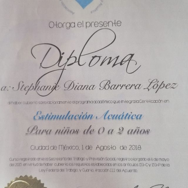 Ampliar imagen: certificate 16