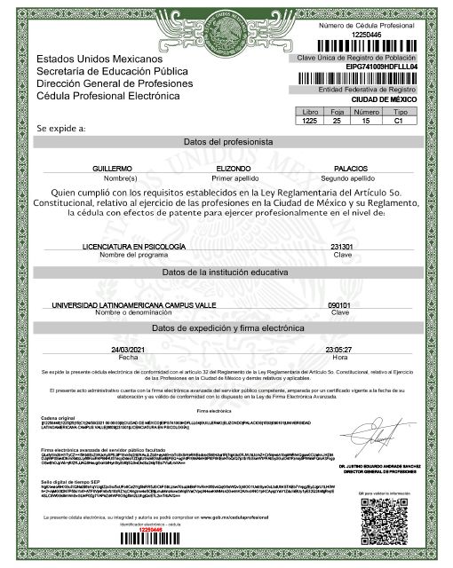 Ampliar imagen: certificate 3